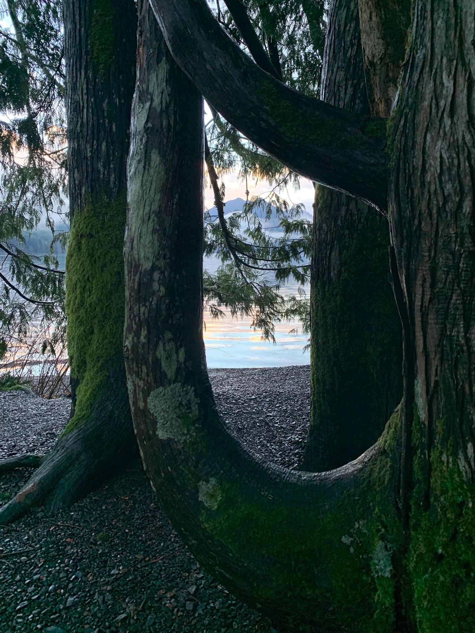 Lake Crescent, Olympic National Park